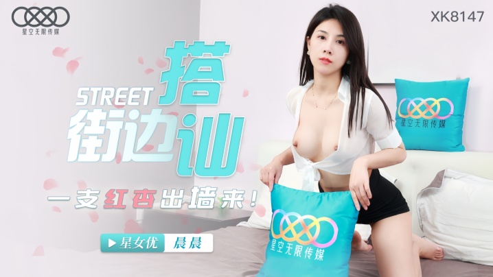晨晨XK8147街头搭讪一只红杏出墙来